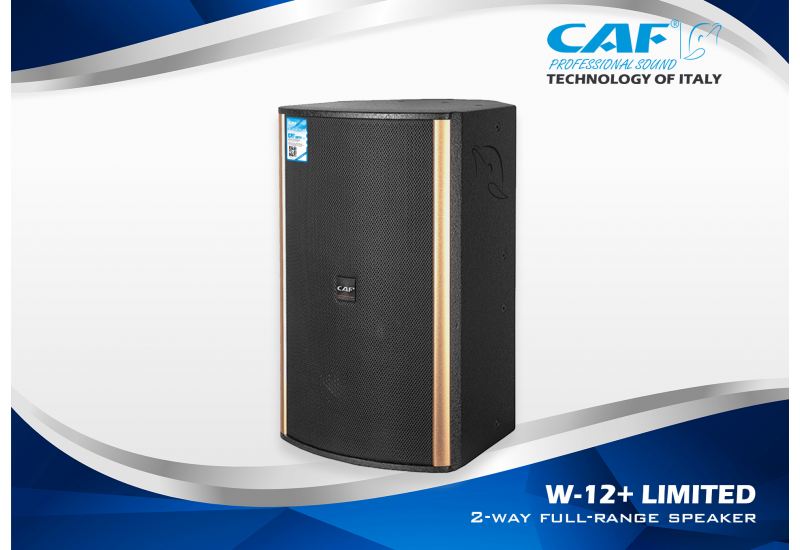 CAF W-12+ LIMITED