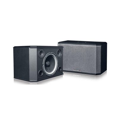 Loa Nanomax RF-500