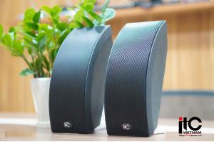 Loa hộp treo tường ITC công suất 40W: T-733B