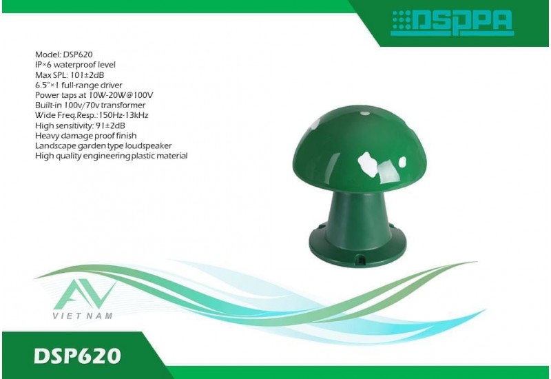 DSP620